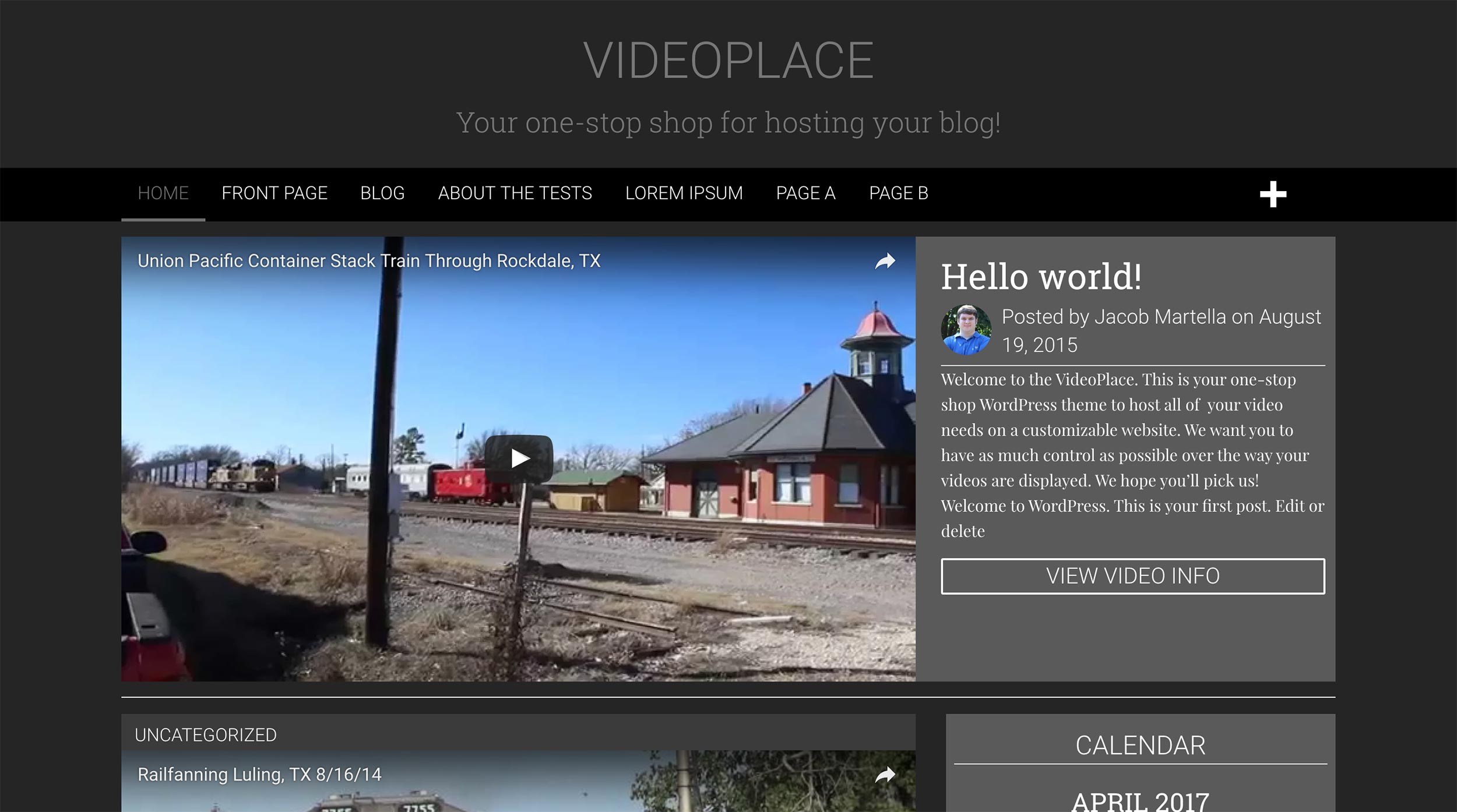Homepage of the VideoPlace WordPress theme