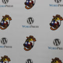 WordCamp DFW 2017