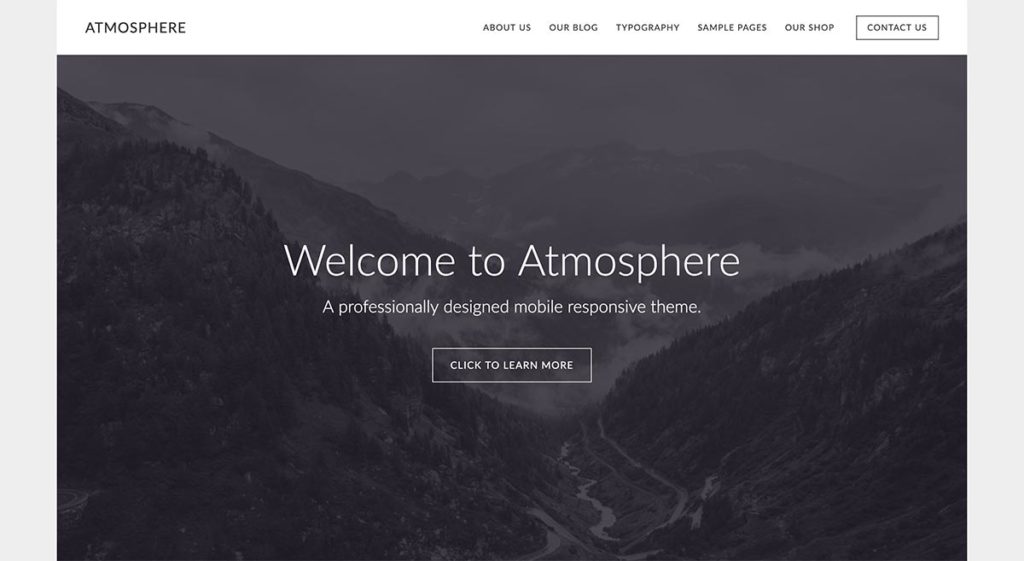 Atmosphere Pro theme demo homepage
