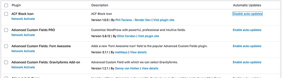 Screenshot of the WordPress plugins page with the ability to turn on auto updates.