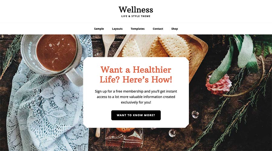 Screenshot of the Wellness Pro WordPress theme homepage