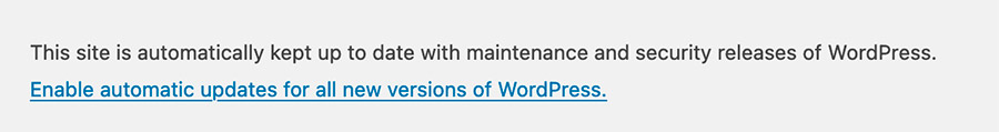 Screenshot of the area where you can setup automatic updates for major WordPress releases.