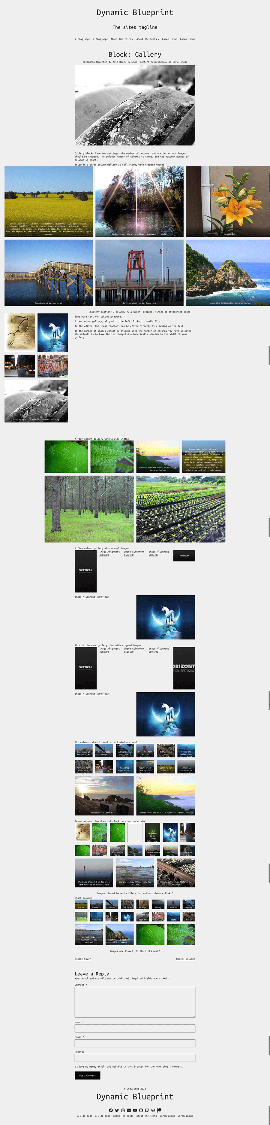 Screenshot of the single post template for the Semplice Monospazio WordPress theme