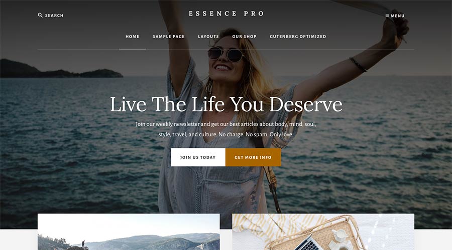 Screenshot of the Essence Pro WordPress theme homepage