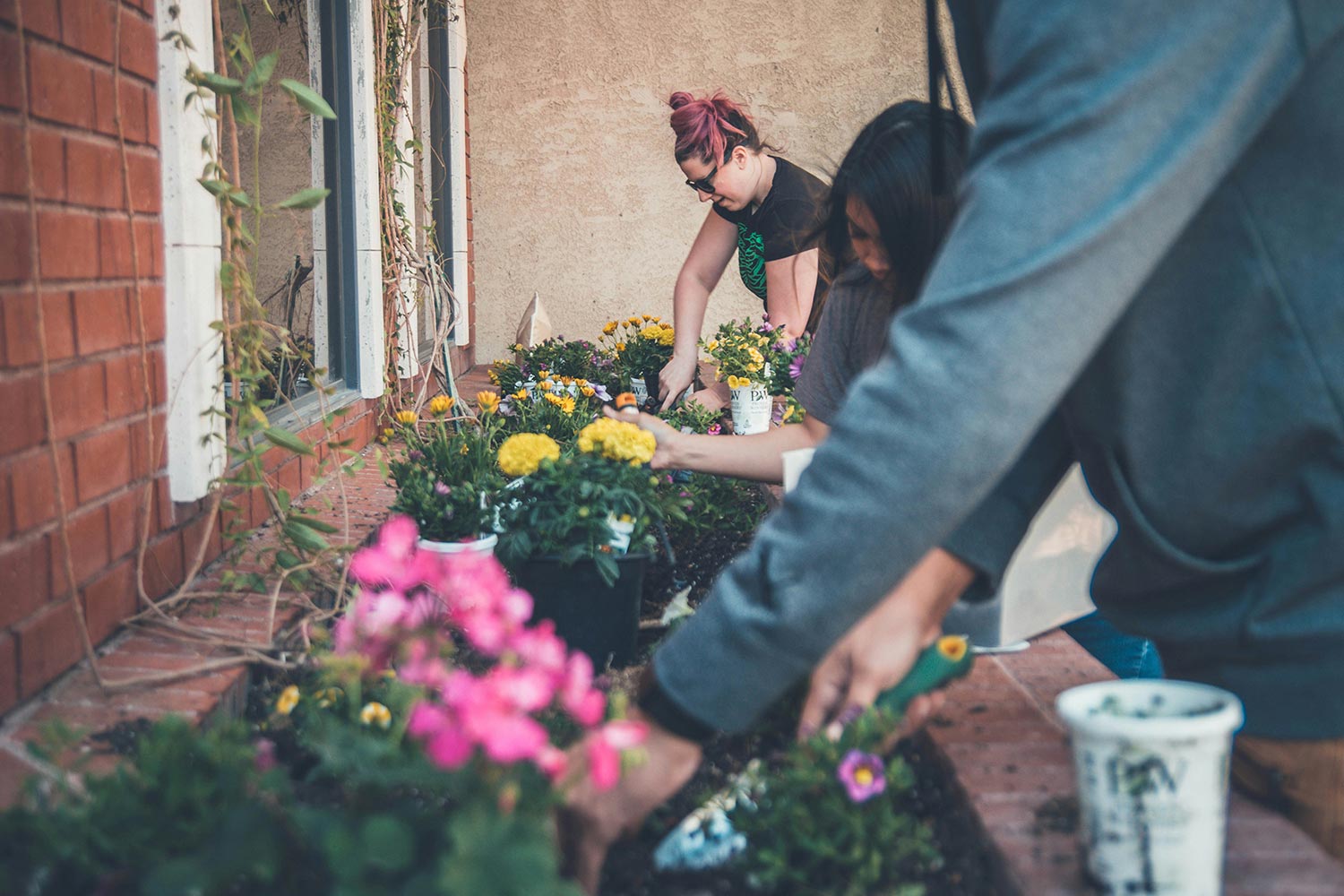 people working at a community garden