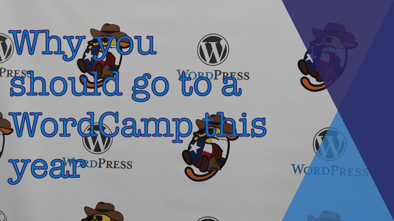 Why you should go to a WordCamp this year
