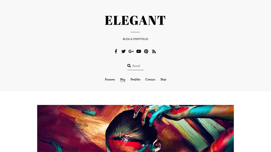 Screenshot of the homepage for the Elegant WordPress Theme demo site
