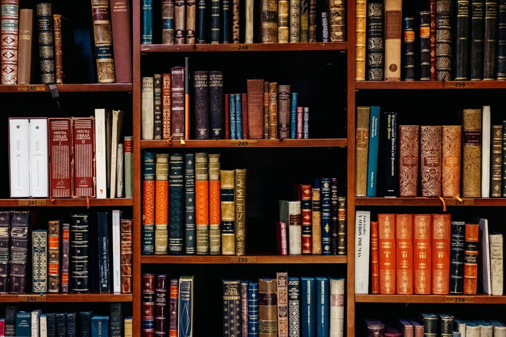 A library shelf full of books