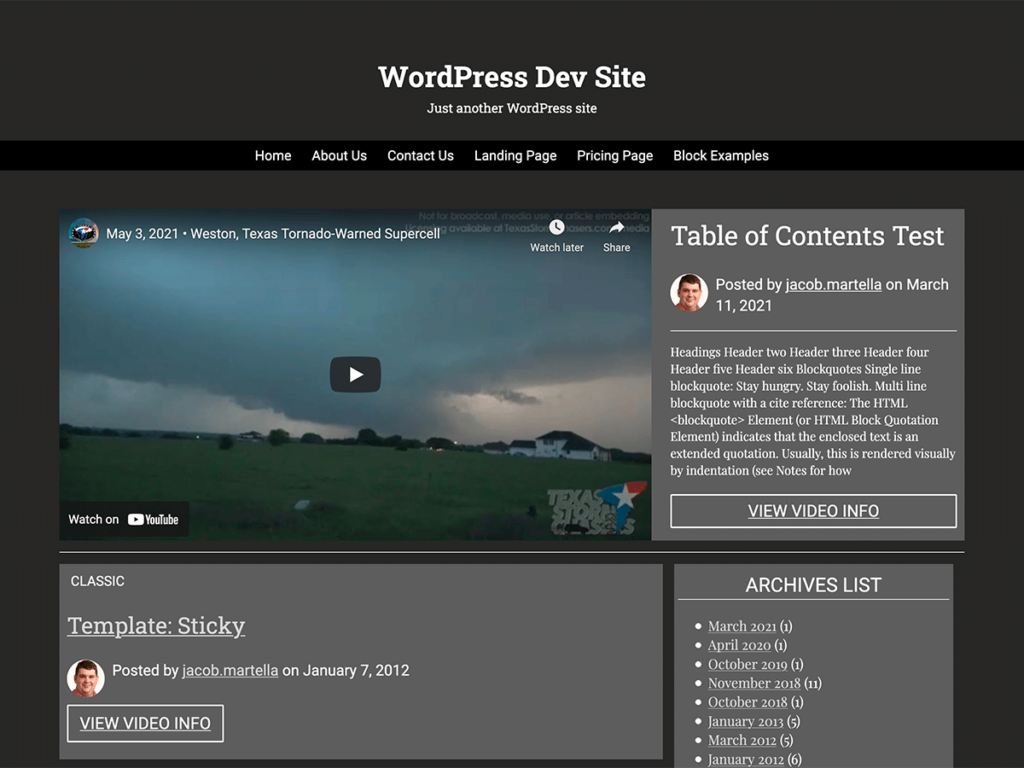 Screenshot of the homepage of the VideoPlace WordPress theme